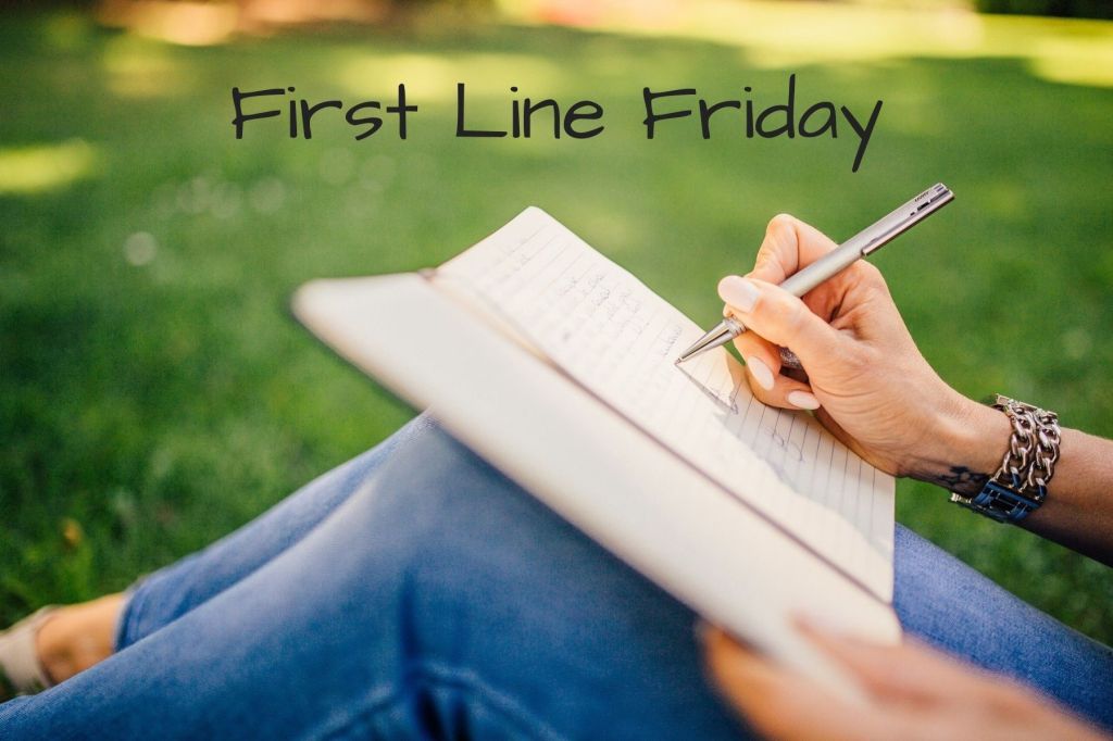 First Line Friday: The Breakup&nbsp;Project