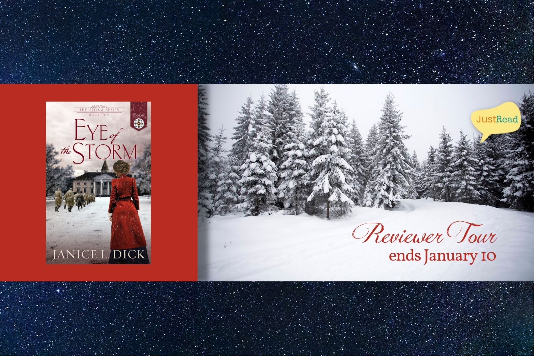 Eye of the Storm by Janice L.&nbsp;Dick