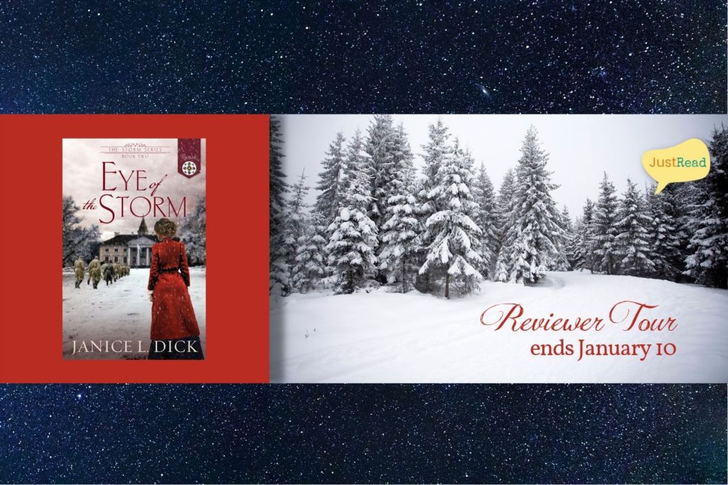 Eye of the Storm by Janice L.&nbsp;Dick